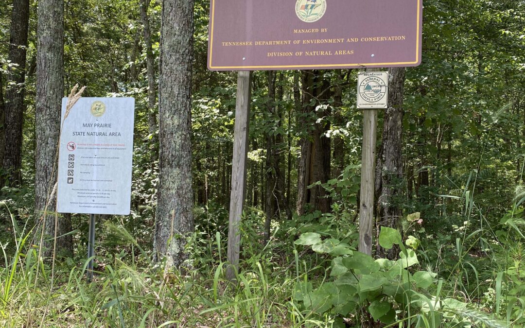 FEATURE FRIDAY: May Prairie natural area one of most important in state