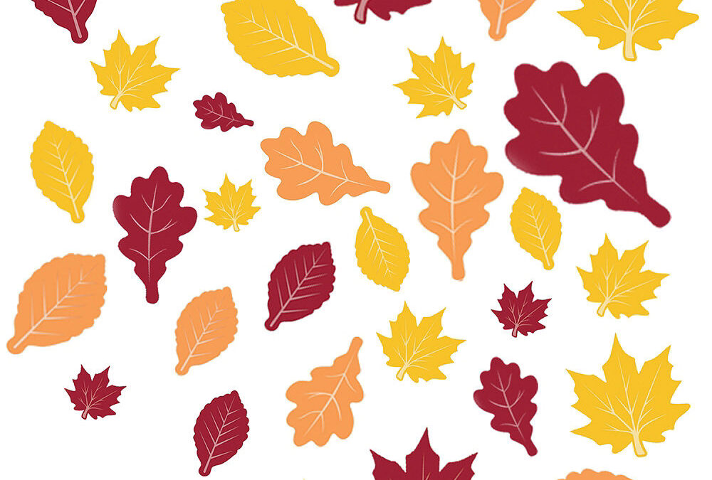 Tuesday is first official day of Fall