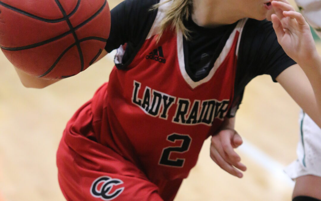 MIDDLE SCHOOL BASKETBALL: Coffee Co. cruises to sweep of Harris