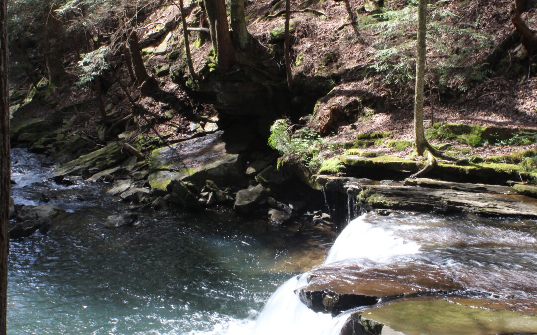 FRIDAY FEATURE: Hit the hiking trails after Thanksgiving