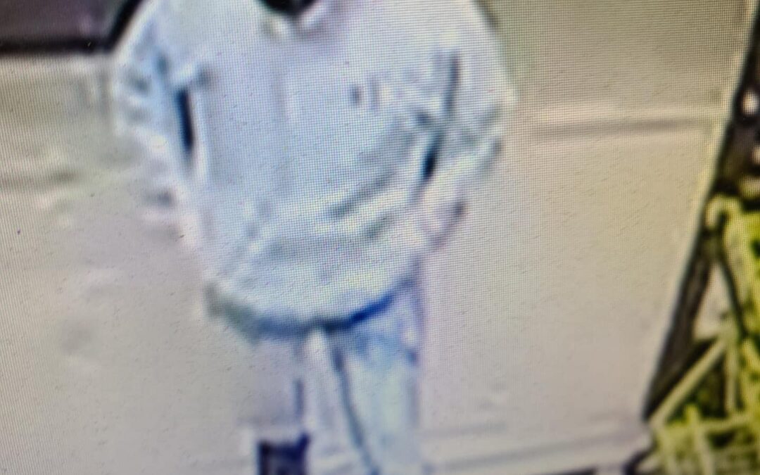 Authorities searching for subjects who robbed Pelham Dollar General