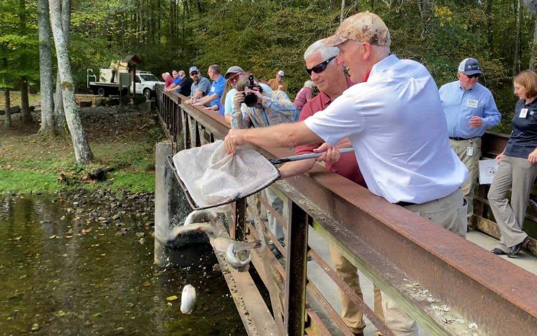 TWRA Fish & Wildlife continue popular Trout stocking program; includes Normandy