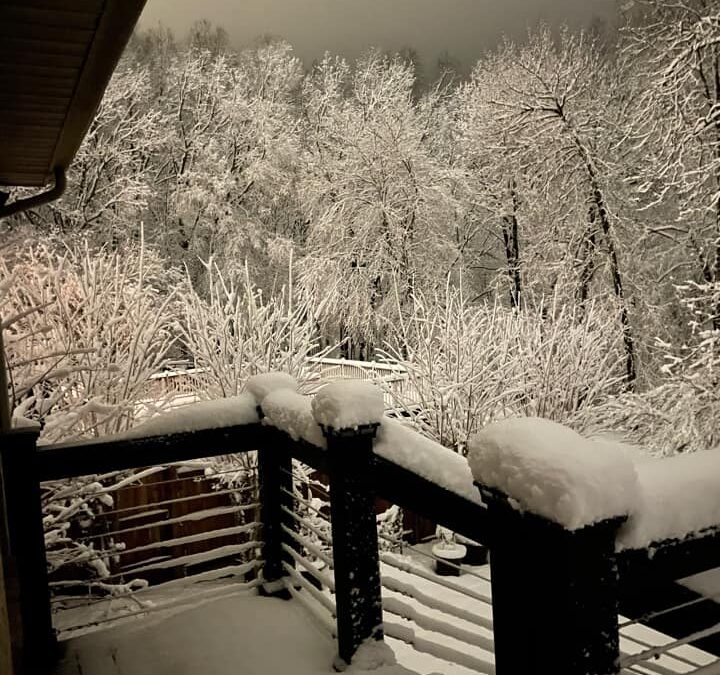 Sunday night snow makes for beautiful photos; brings down power lines