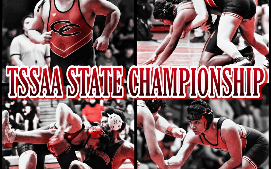 STATE WRESTLING: Barlow to wrestle for 3rd place