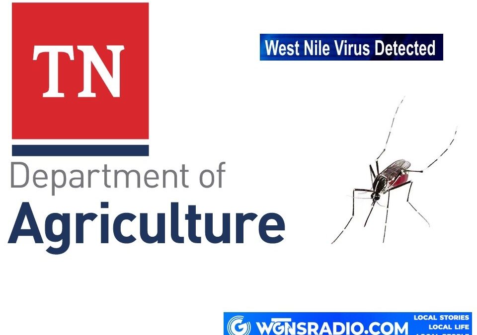Horse tests positive for West Nile Virus in Middle Tennessee