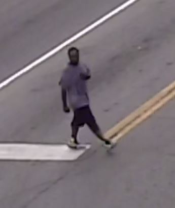 Shelbyville Police need help finding felony vandalism suspect