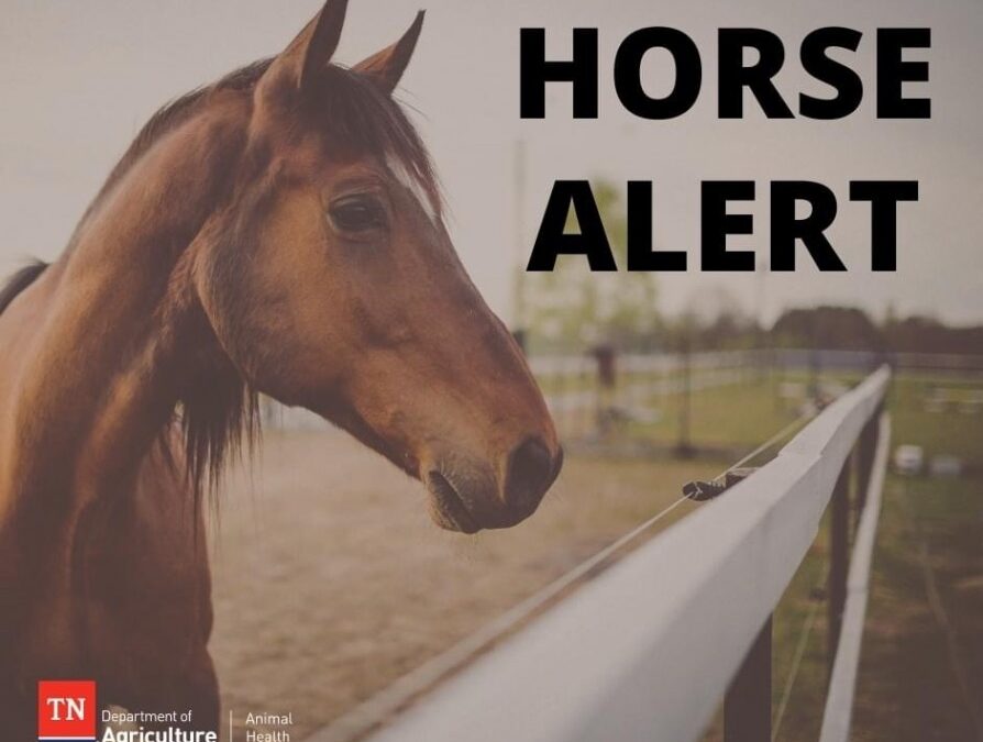 Potomac horse fever reported in nearby Murfreesboro, Dekalb County